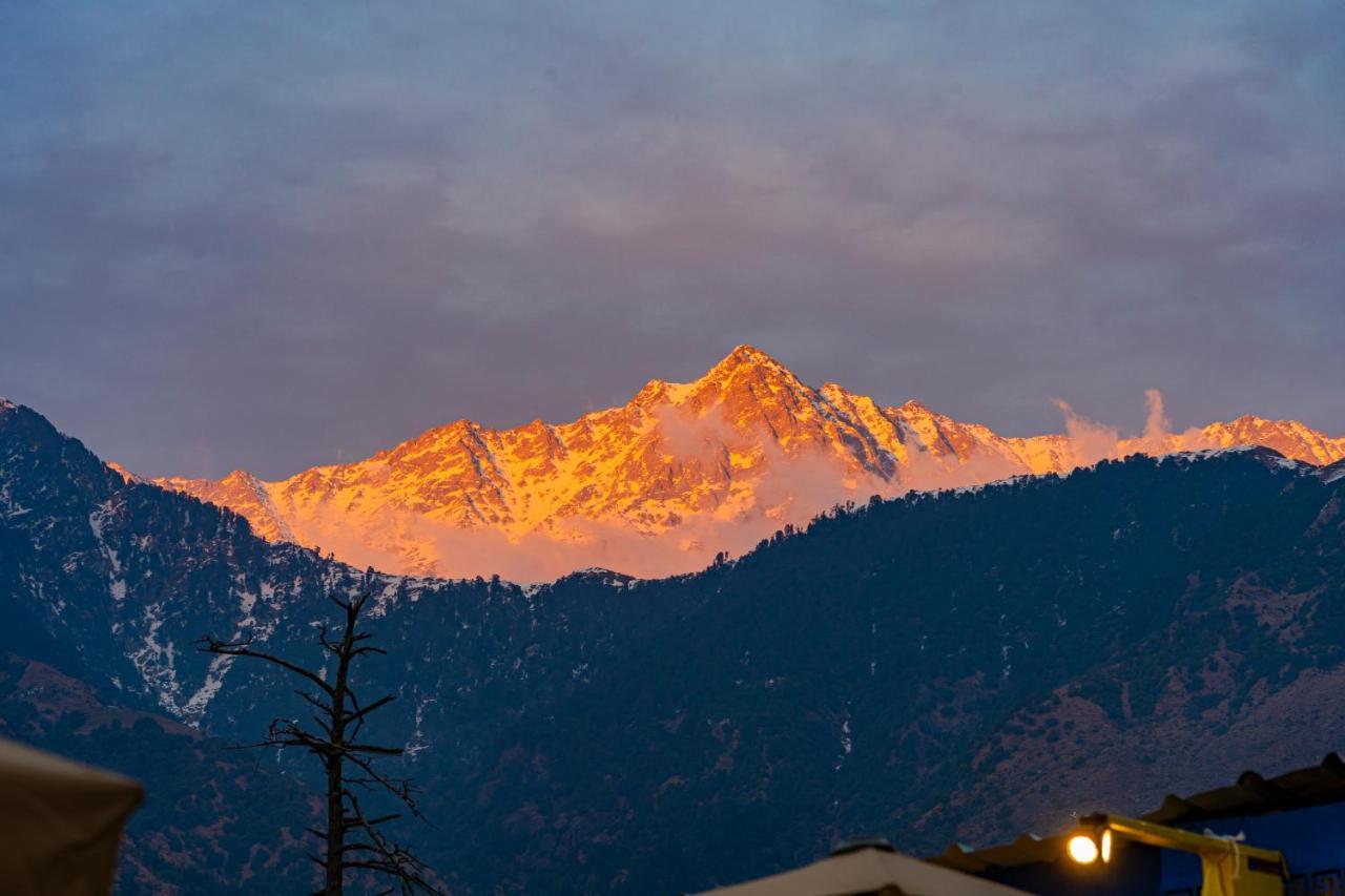 The Hosteller Mcleodganj, Mall Road McLeod Ganj Exteriör bild
